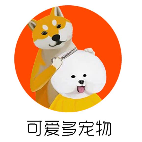 可爱多宠物店:济南市历下区华龙路沿线附近