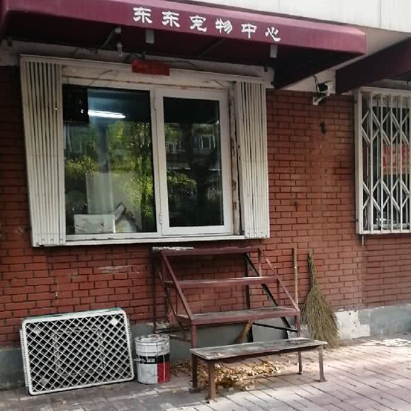 东东宠物中心:天津城区和平区海光寺/六里台附近