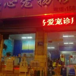 爱心宠物医院:济南市历下区华龙路沿线附近