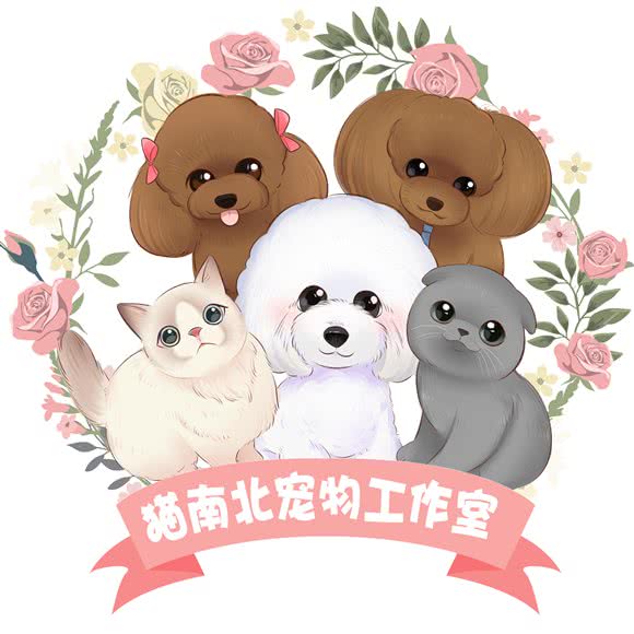猫南北宠物工作室:济南市历下区佛山街附近