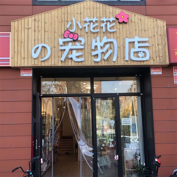 小花花宠物店:济南市历下区奥体中路附近