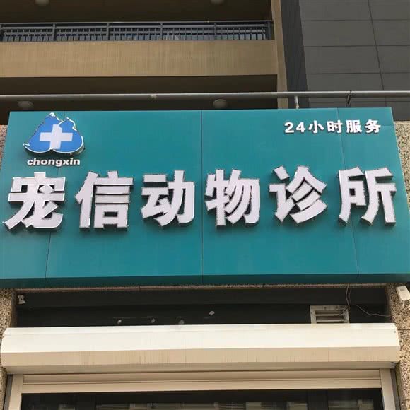 宠信动物诊所:济南市历下区奥体中路附近