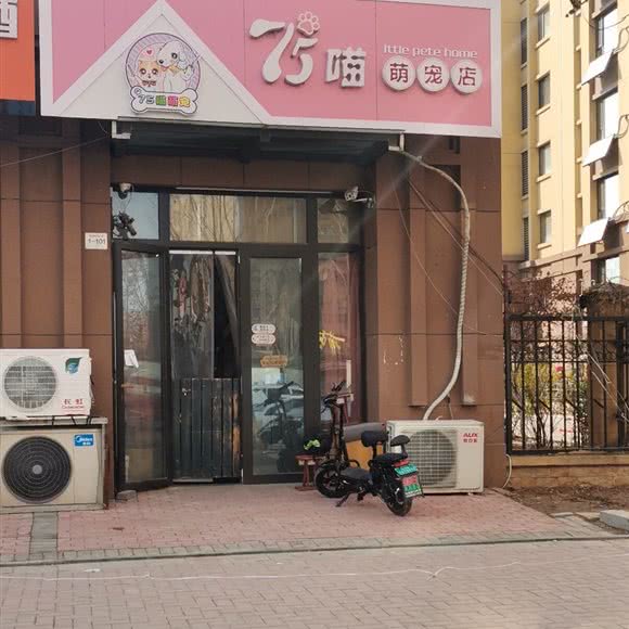 75喵萌宠店:济南市历下区商贸学校附近