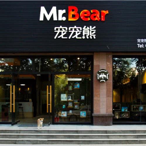 宠宠熊宠物美容(历下店):济南市历下区财经大学东校附近