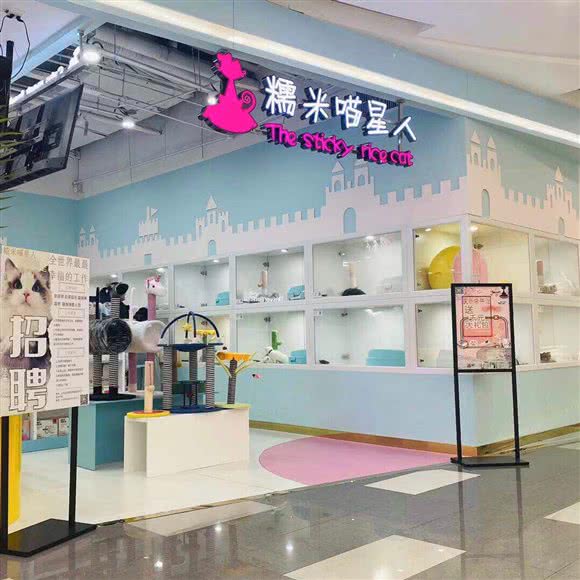 糯米喵星人生活馆·猫舍(世茂广场店):济南市历下区世茂广场/宽厚里附近