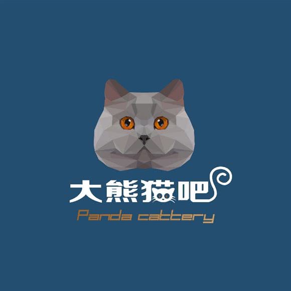 大熊猫吧（一家猫店）(领秀城店):济南市市中区领秀城贵和购物中心附近