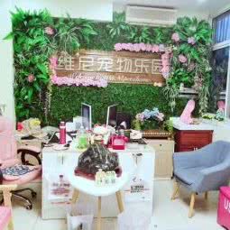 维尼宠物:济南市市中区济大/国际会展中心附近