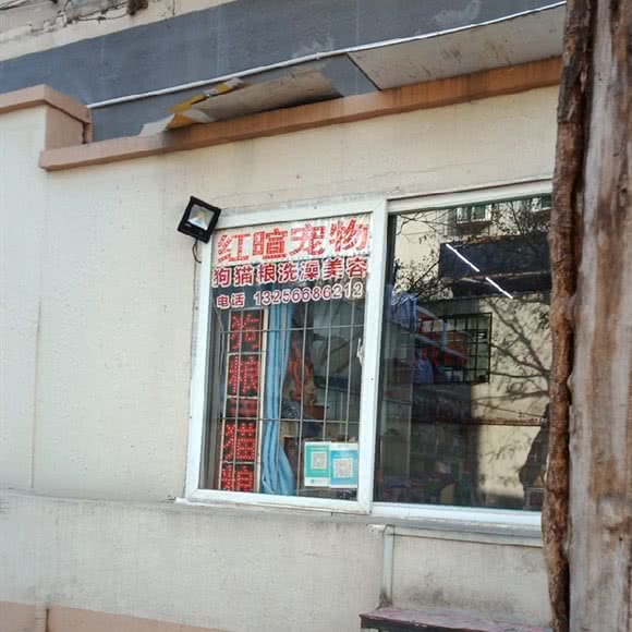 红暄宠物用品粮店:济南市市中区济大/国际会展中心附近
