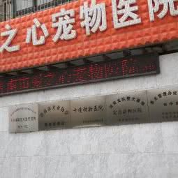 济南献爱心宠物医院:济南市市中区济大/国际会展中心附近