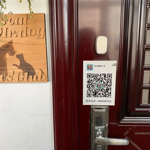 Misscat&Mr.dog:济南市市中区伟东新都附近