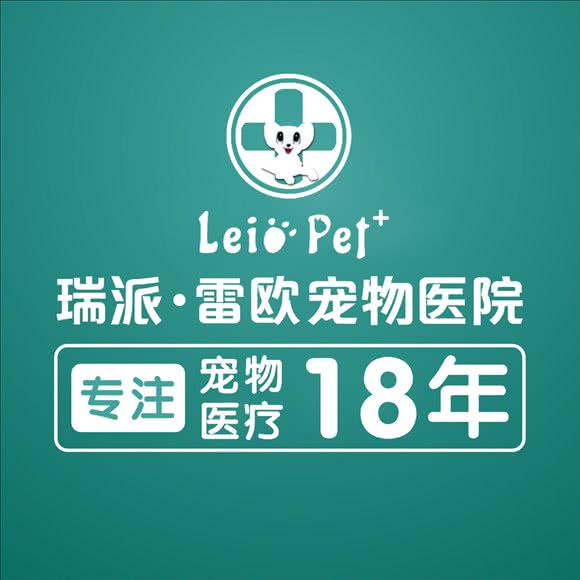 瑞派雷欧宠物医院(玉函店):济南市市中区伟东新都附近