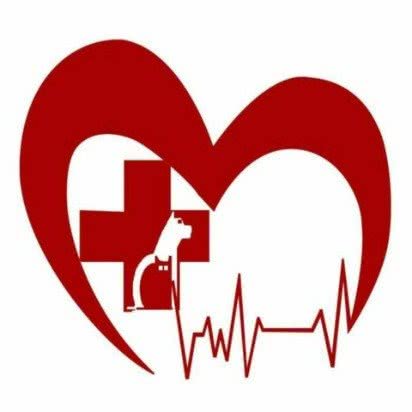 至爱宠物医院:济南市市中区伟东新都附近