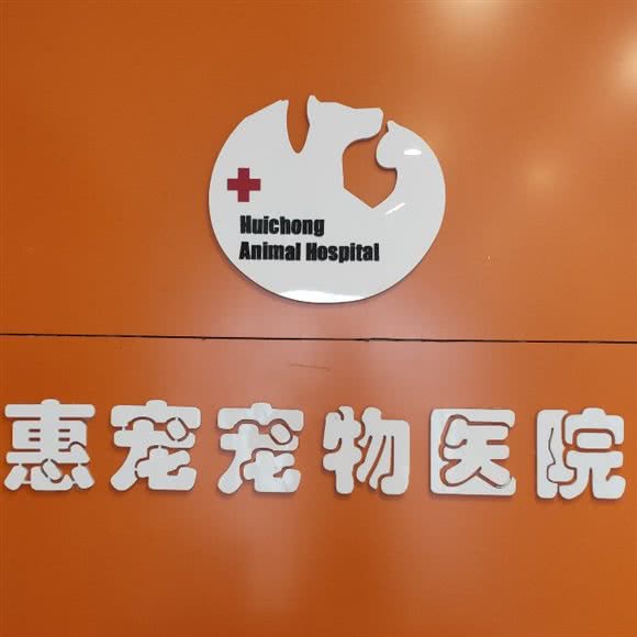 惠宠宠物医院:济南市市中区伟东新都附近