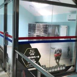 望京动物医院:北京城区朝阳区望京附近