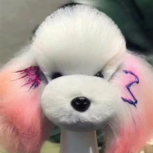 乐宠宠艺(三箭银苑店):济南市市中区杆石桥附近