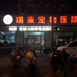 瑞康宠物医院:济南市市中区大众广场附近