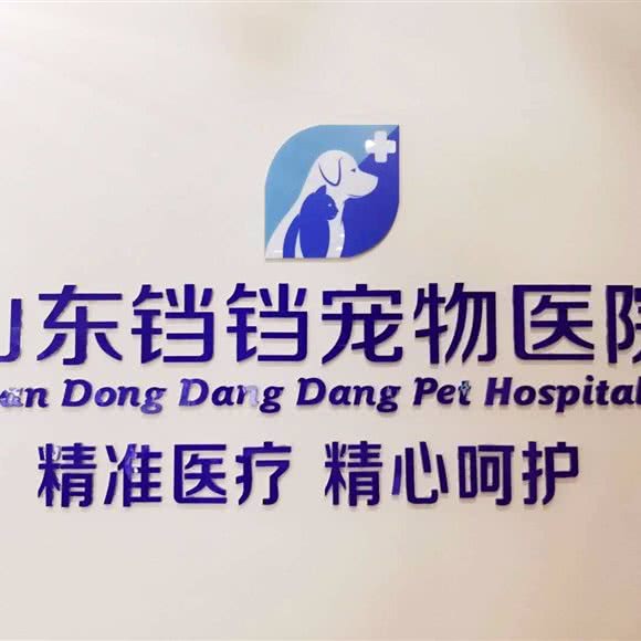 山东铛铛宠物医院:济南市市中区阳光舜城附近