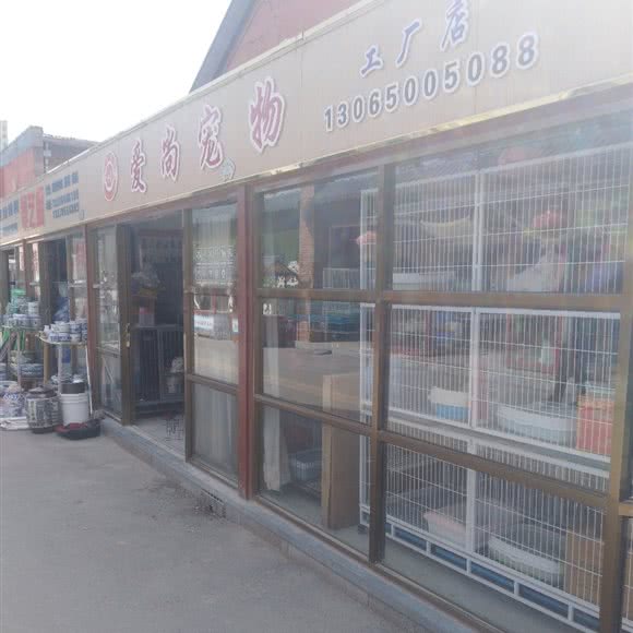 爱尚宠物:济南市市中区白马山/腊山立交桥附近