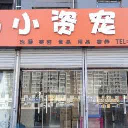 小资宠物:济南市市中区白马山/腊山立交桥附近