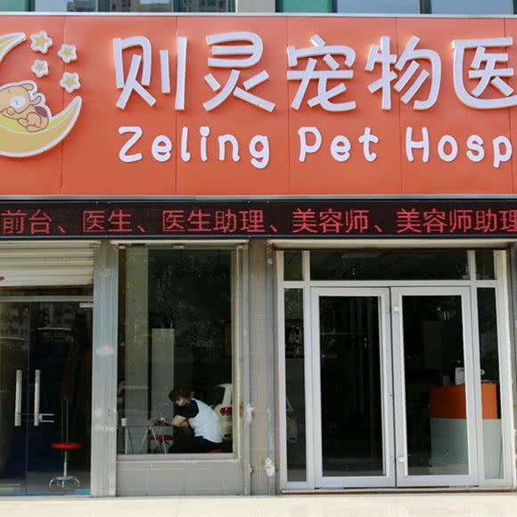 则灵狗狗:济南市市中区白马山/腊山立交桥附近