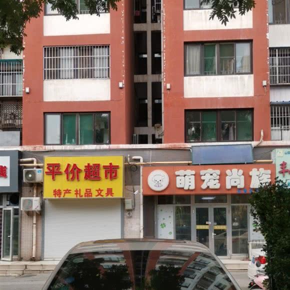 萌宠尚族:济南市槐荫区和谐广场附近