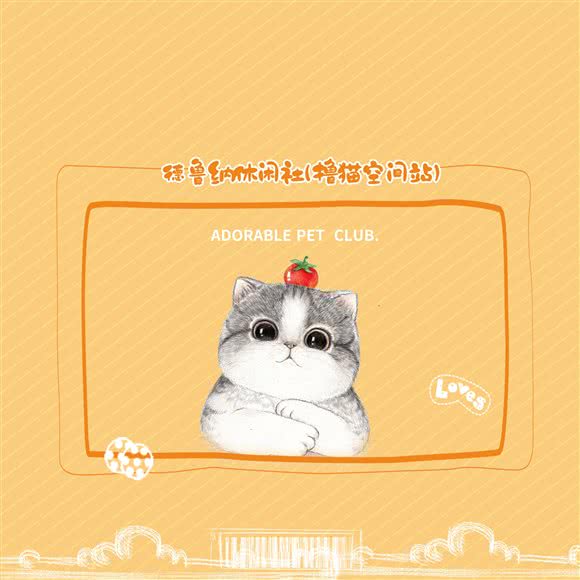 穆尔纳休闲社·撸猫空间站:济南市槐荫区和谐广场附近