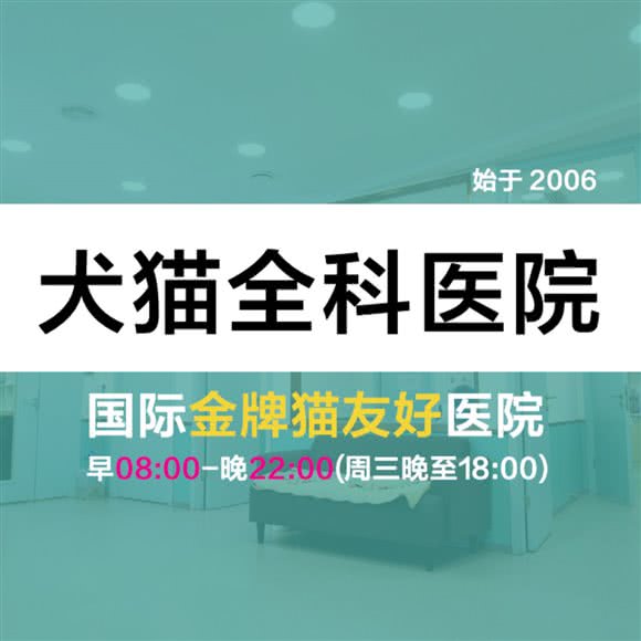 人爱动物医院·国际猫友好(阳光新路店):济南市槐荫区和谐广场附近