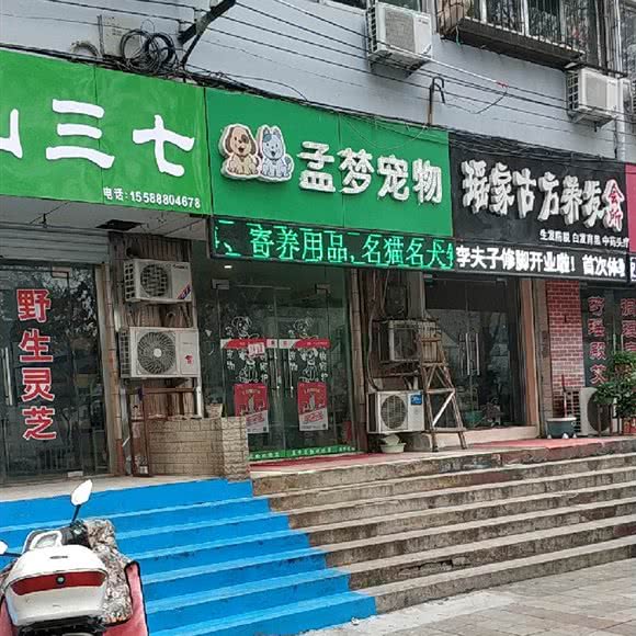 孟梦宠物:济南市槐荫区西市场附近