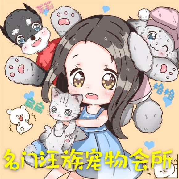 名门汪族宠物会所:济南市槐荫区西市场附近