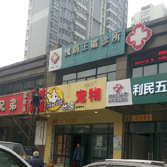 乐恩宠物中心:济南市槐荫区五院附近