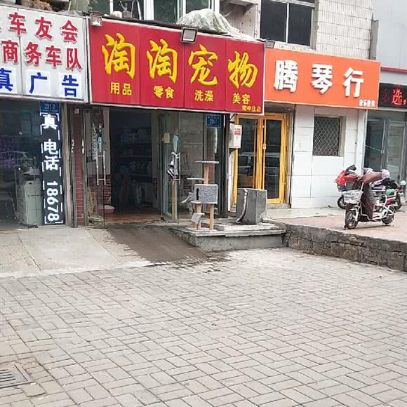淘淘宠物:济南市槐荫区五院附近
