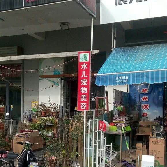 水儿宠物美容:济南市槐荫区阳光100附近