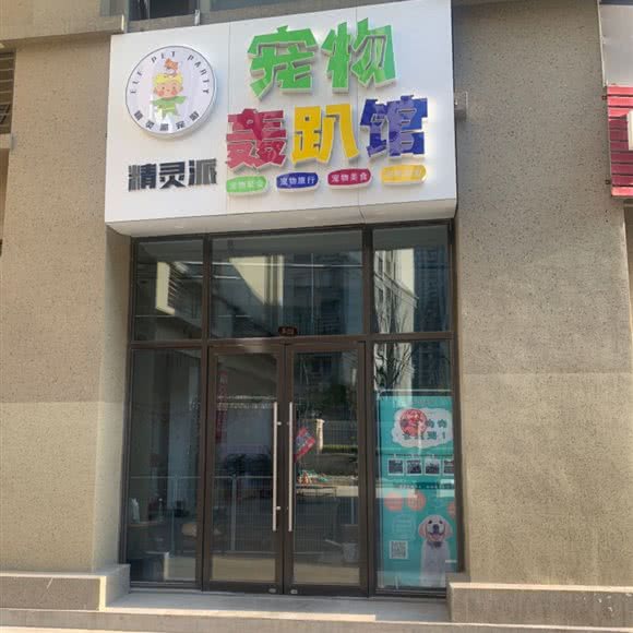 精灵派宠物轰趴馆:济南市槐荫区济南西站附近
