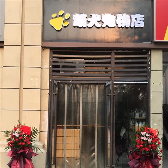 萌犬宠物店:济南市槐荫区济南西站附近