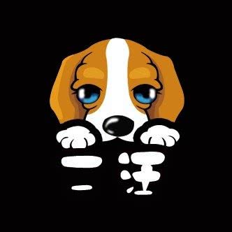 二胡萌宠:济南市槐荫区济南西站附近