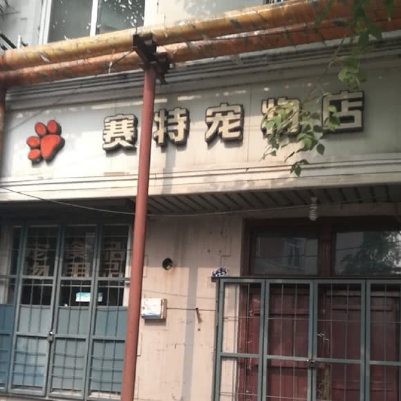 赛特宠物店:天津城区和平区南市附近