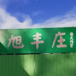旭丰庄柴犬作育:济南市槐荫区省肿瘤医院附近