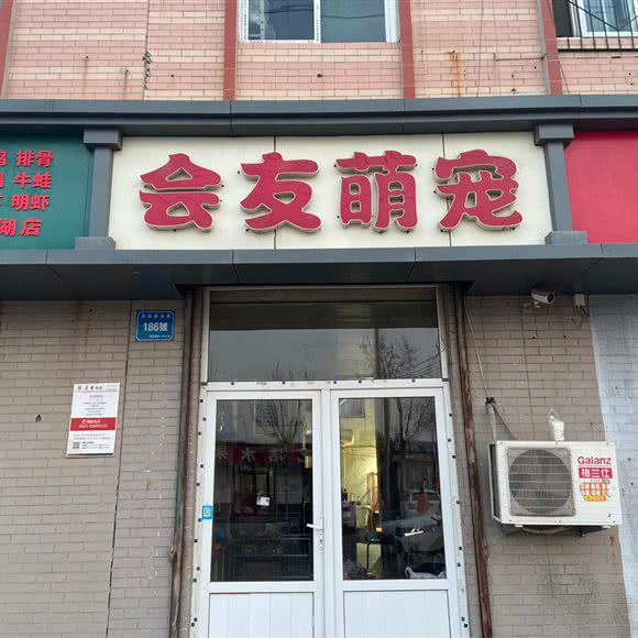 会友萌宠:济南市槐荫区美里湖附近