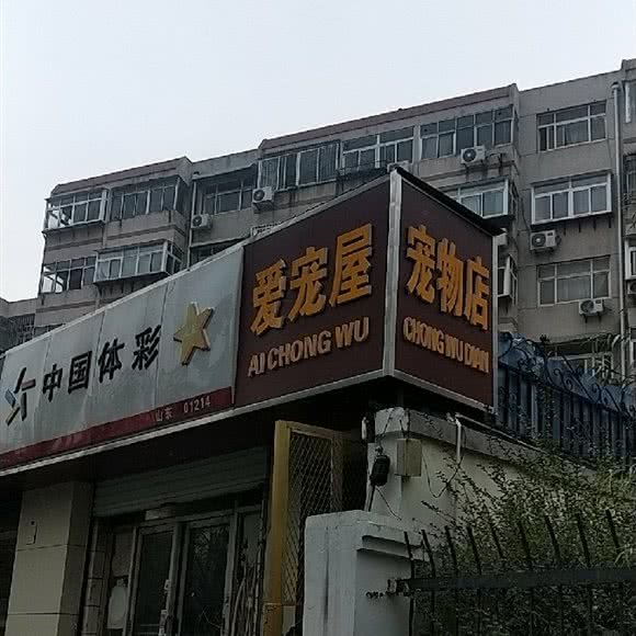 爱宠屋宠物店:济南市天桥区火车站/堤口路附近
