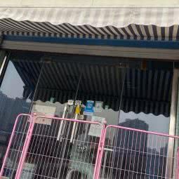 淘气宠物店:济南市天桥区火车站/堤口路附近