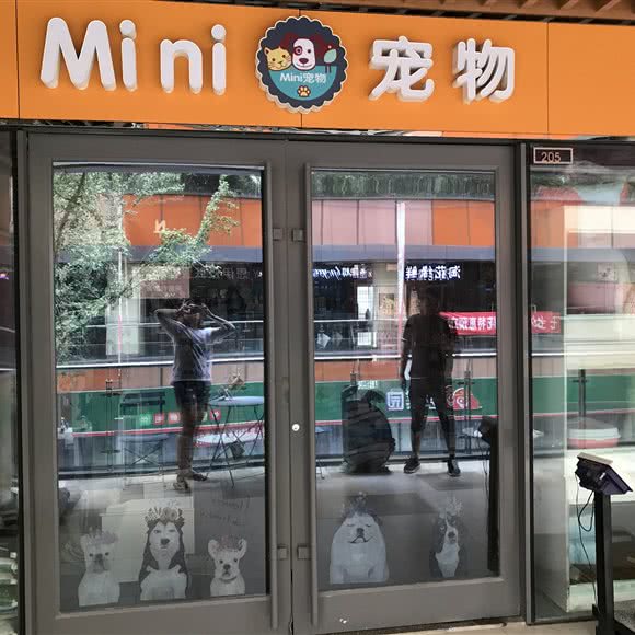 mini宠物:济南市天桥区火车站/堤口路附近
