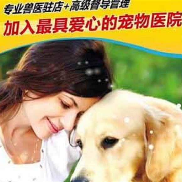 金美迪宠物医院:济南市天桥区火车站/堤口路附近