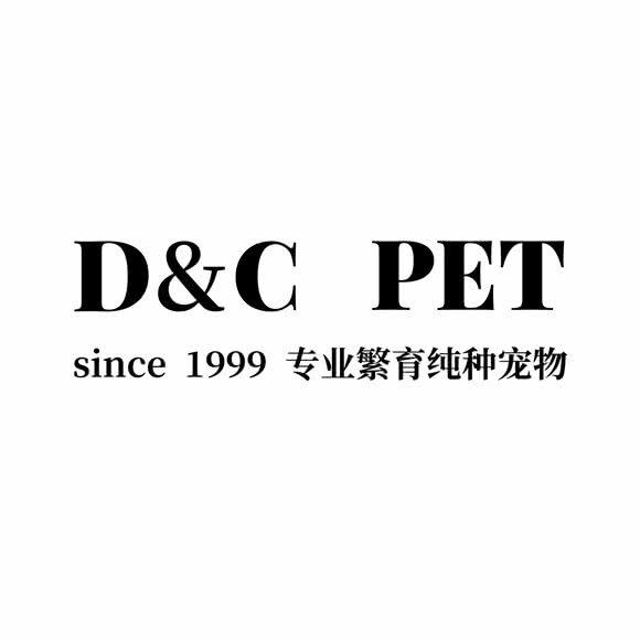 D&B PET:天津城区河东区上杭路街/河东万达附近