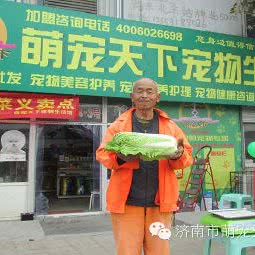 萌宠天子宠物用品:济南市天桥区北园大街附近