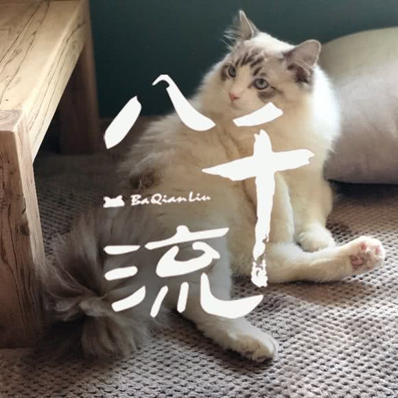 八千流  香＆猫咪好天气:济南市天桥区大明湖附近