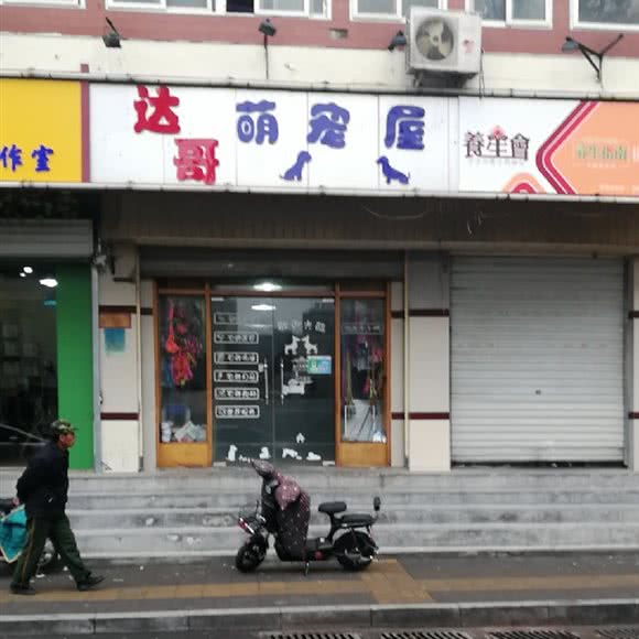 达哥萌宠屋:济南市天桥区大明湖附近