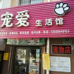 蓝鼻头宠物:济南市天桥区大明湖附近