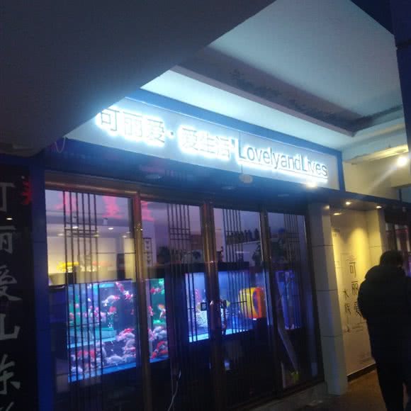 可丽爱·爱生活:济南市天桥区大明湖附近