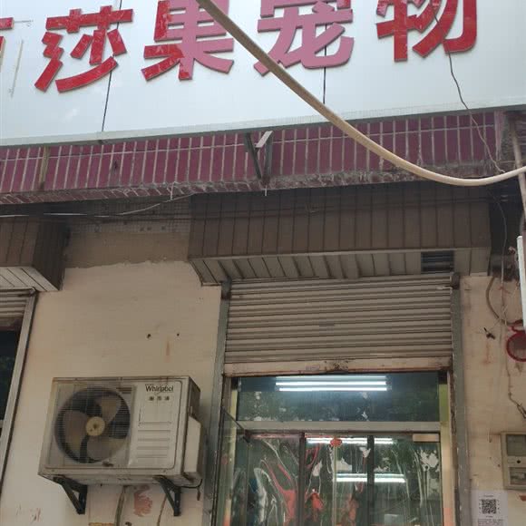 莎果宠物:济南市天桥区大明湖附近