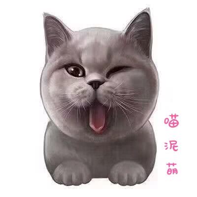 喵泥萌宠物:济南市天桥区大明湖附近